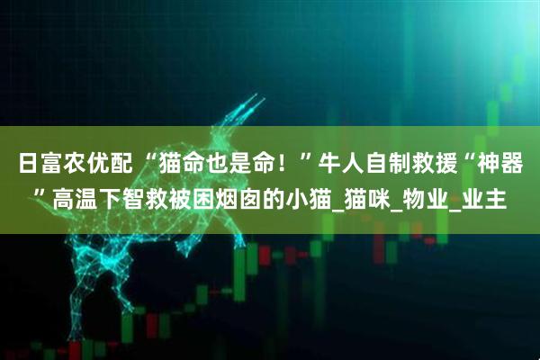 日富农优配 “猫命也是命！”牛人自制救援“神器”高温下智救被困烟囱的小猫_猫咪_物业_业主